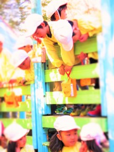 園外保育2016 (3.5)