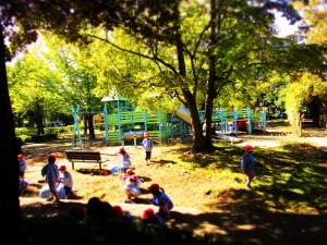 園外保育2016 (6)